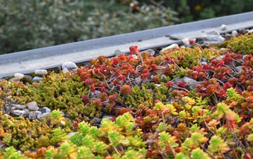 the cost of Hickling green roof installation