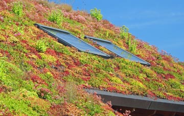 Hickling living roof systems