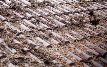 Hickling roof cleaning companies